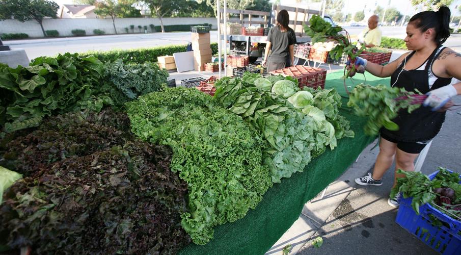 pumpkin-state-farmers-market-1 - Triangle on the Cheap