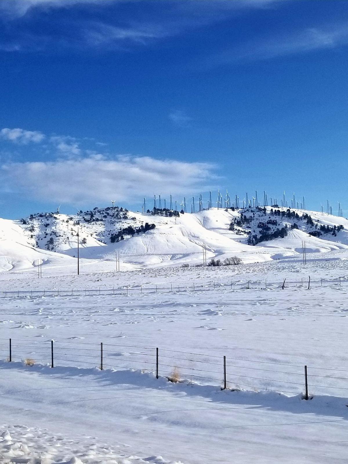 THROUGH YOUR LENS Winter snowfall Photo Galleries
