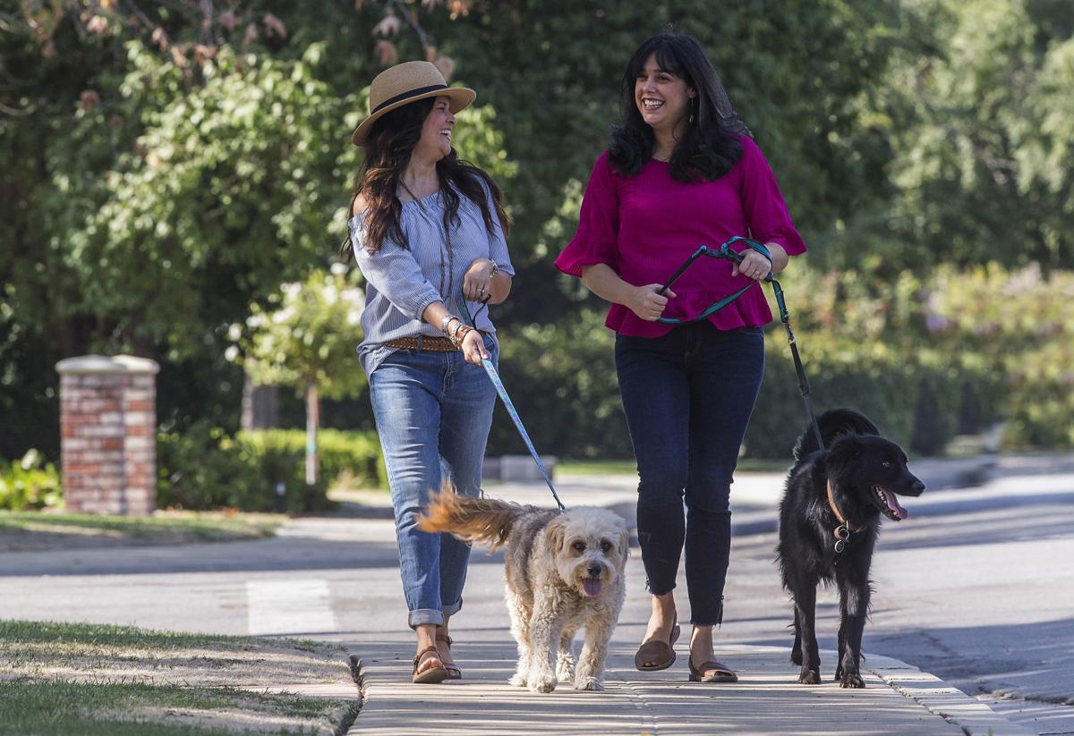 Last Word Shelter Dog Wanders Into Children S Books Bakersfield Hearts Bakersfield Life Bakersfield Com