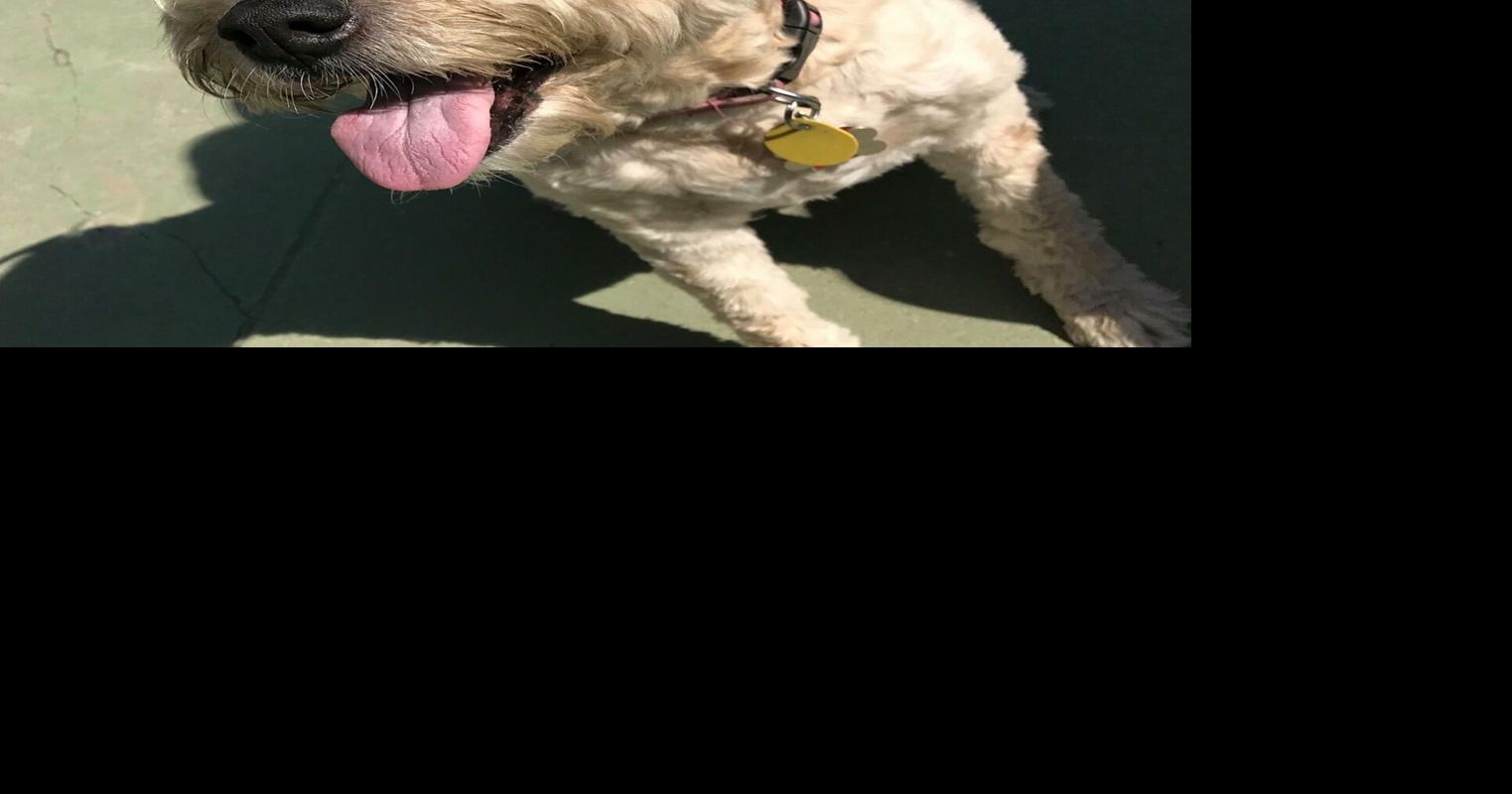 Community to celebrate Love for Indy Entertainment