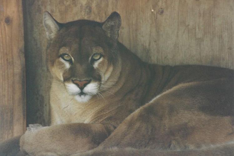 THINGS YOU NEED TO KNOW Subscriber travels the world with The