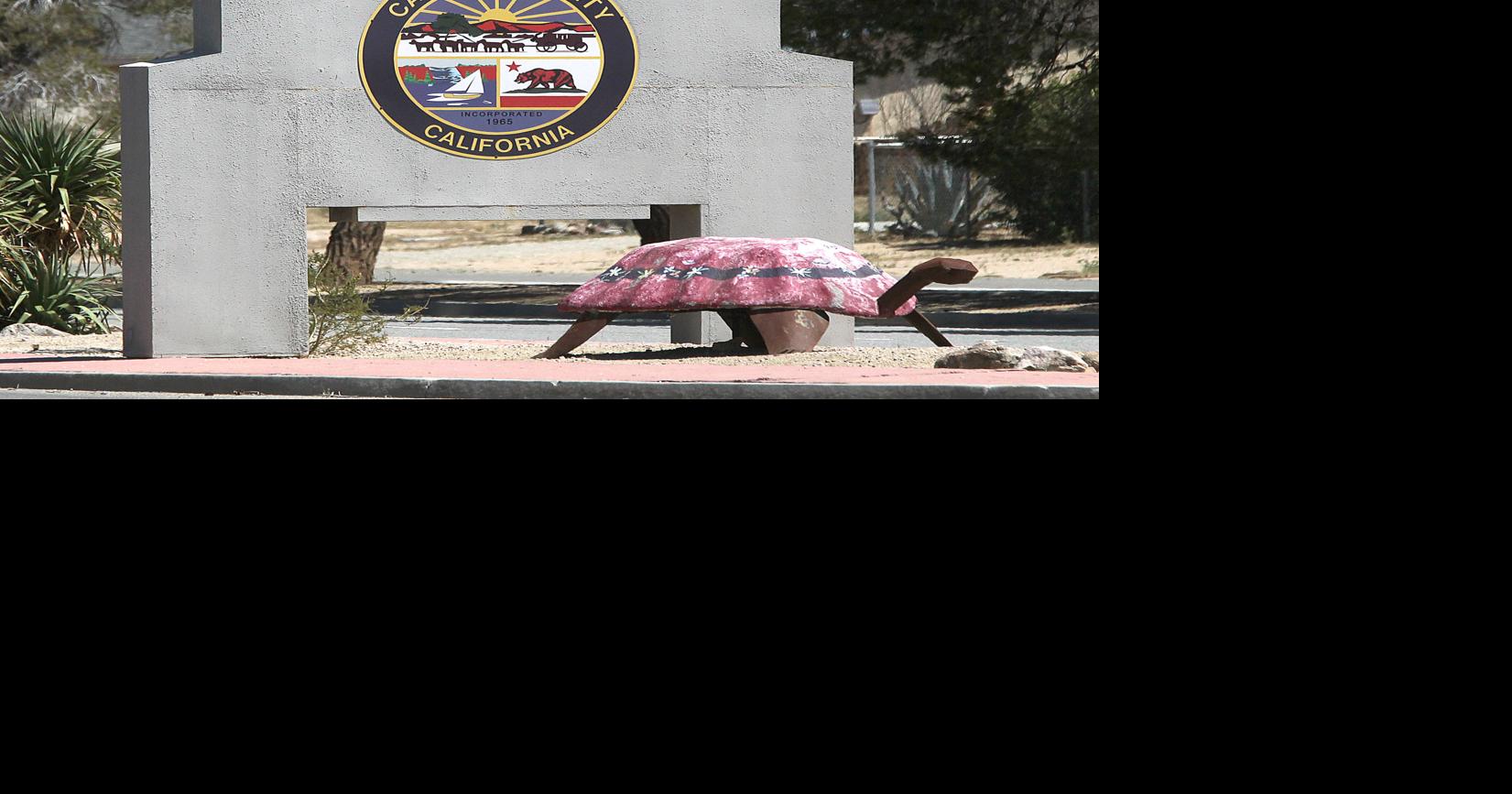 California City parcel tax passes News