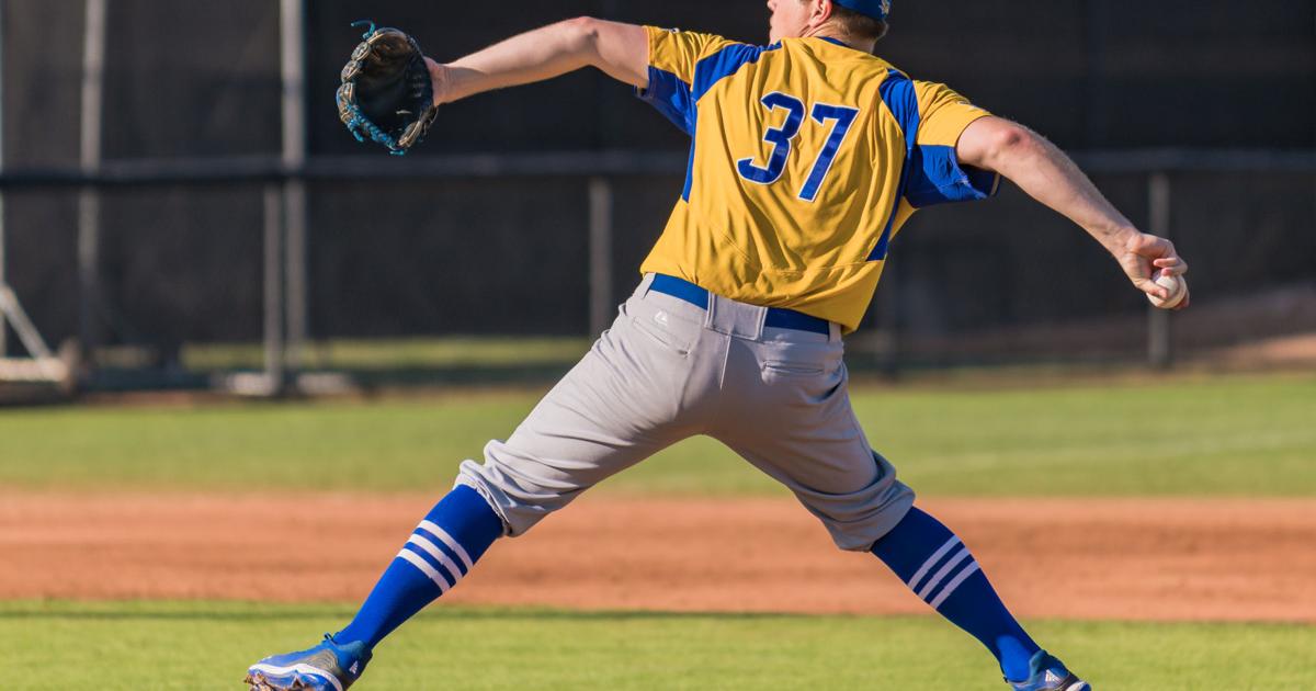 CSUB baseball got 'a shot in the arm' with influx of transfers for 2019 ...