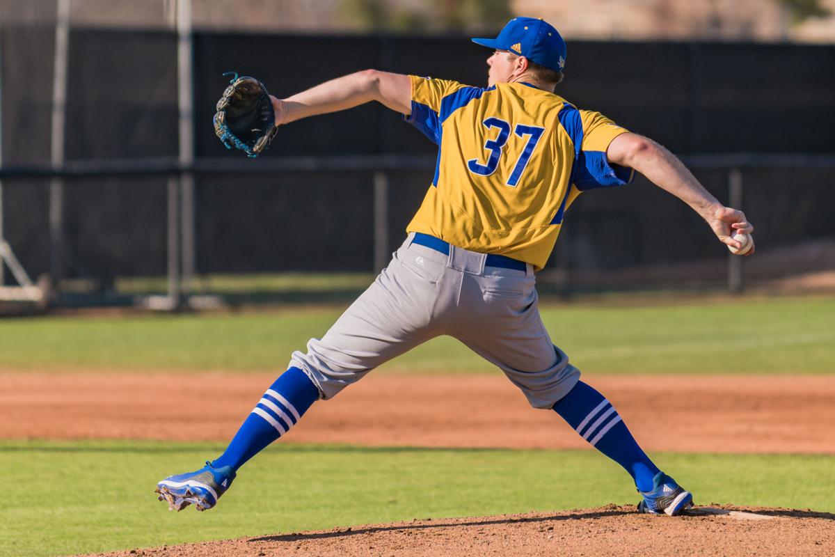 CSUB baseball got 'a shot in the arm' with influx of transfers for 2019
