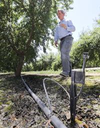 20170525-bc-vidovich-3