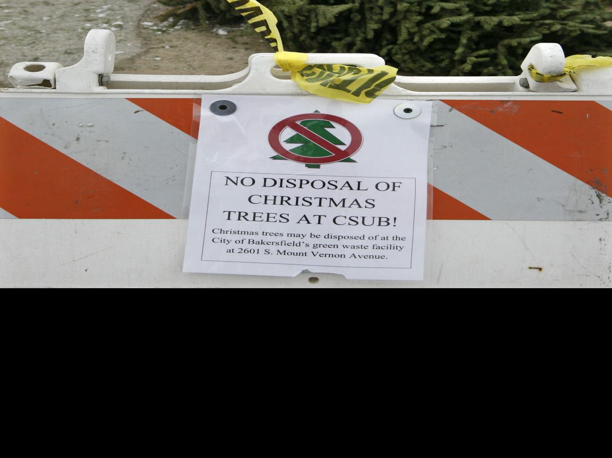 Christmas Tree Recycling Near Me 2022 Bakersfield Ca With Cal State Tree Drop Off Gone, Where Can Your Christmas Tree Go? | News  | Bakersfield.com