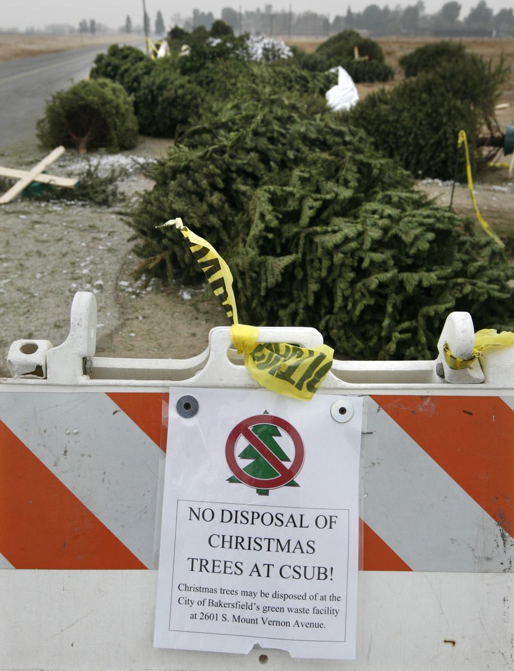 Christmas Tree Disposal Bakersfield 2022 With Cal State Tree Drop Off Gone, Where Can Your Christmas Tree Go? | News  | Bakersfield.com