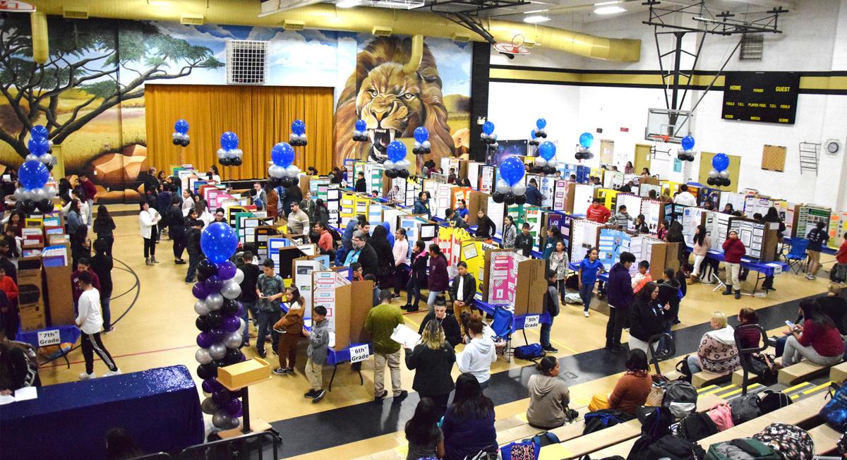 Many Projects Seen In Dusd Science Fair The Delano Record