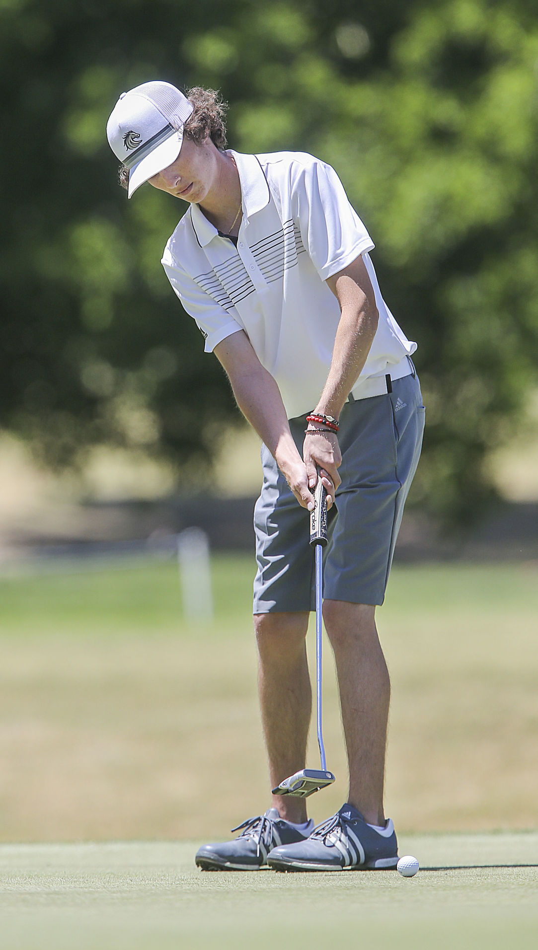 PHOTO GALLERY: South Area Golf Tournament Held At Buena ...