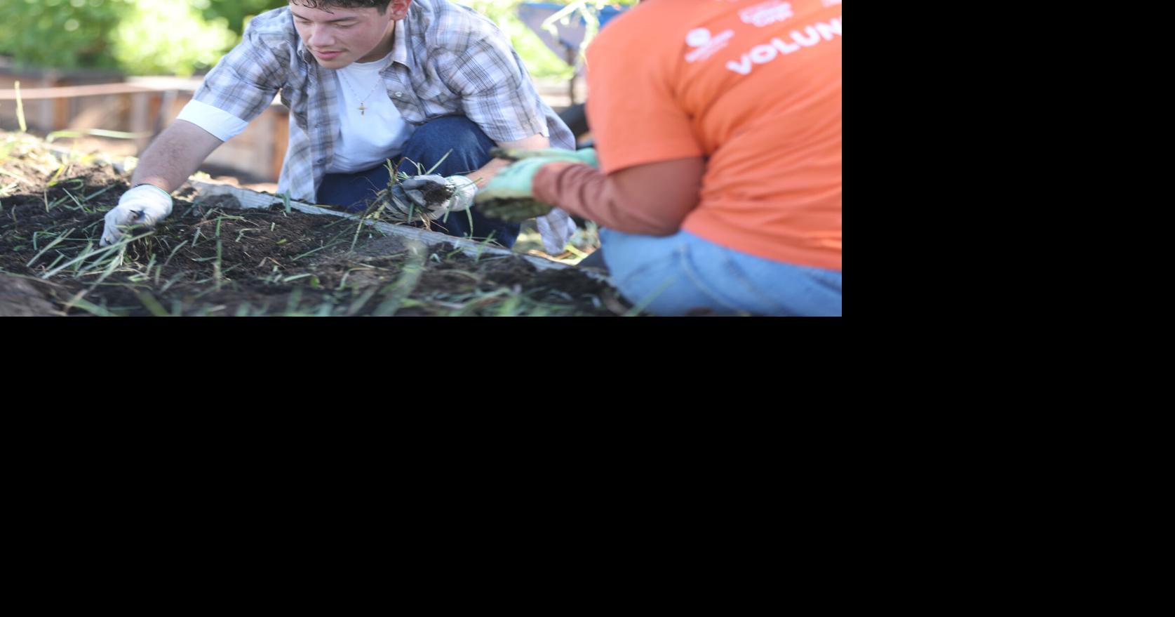 CSUB Edible Garden | | bakersfield.com