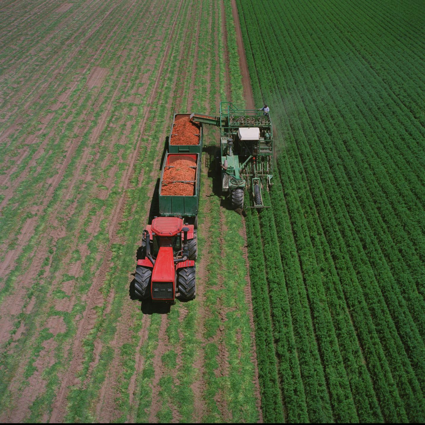Grimmway Farms Finds A Buyer In Indiana News Bakersfield Com