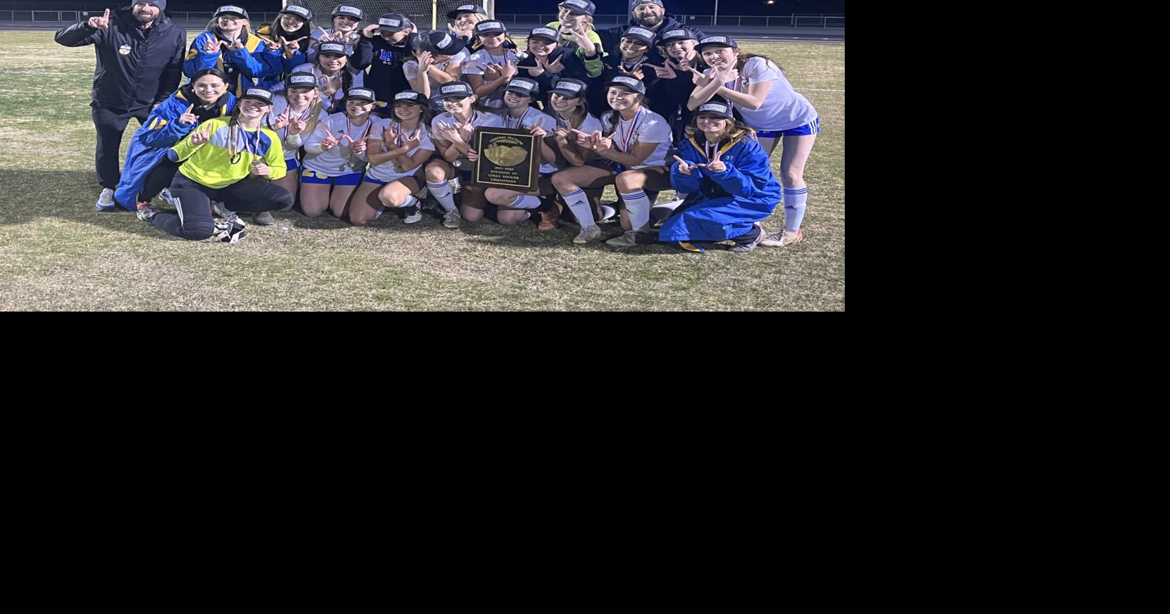 STAPP Seven area teams crowned section champs in basketball, soccer to