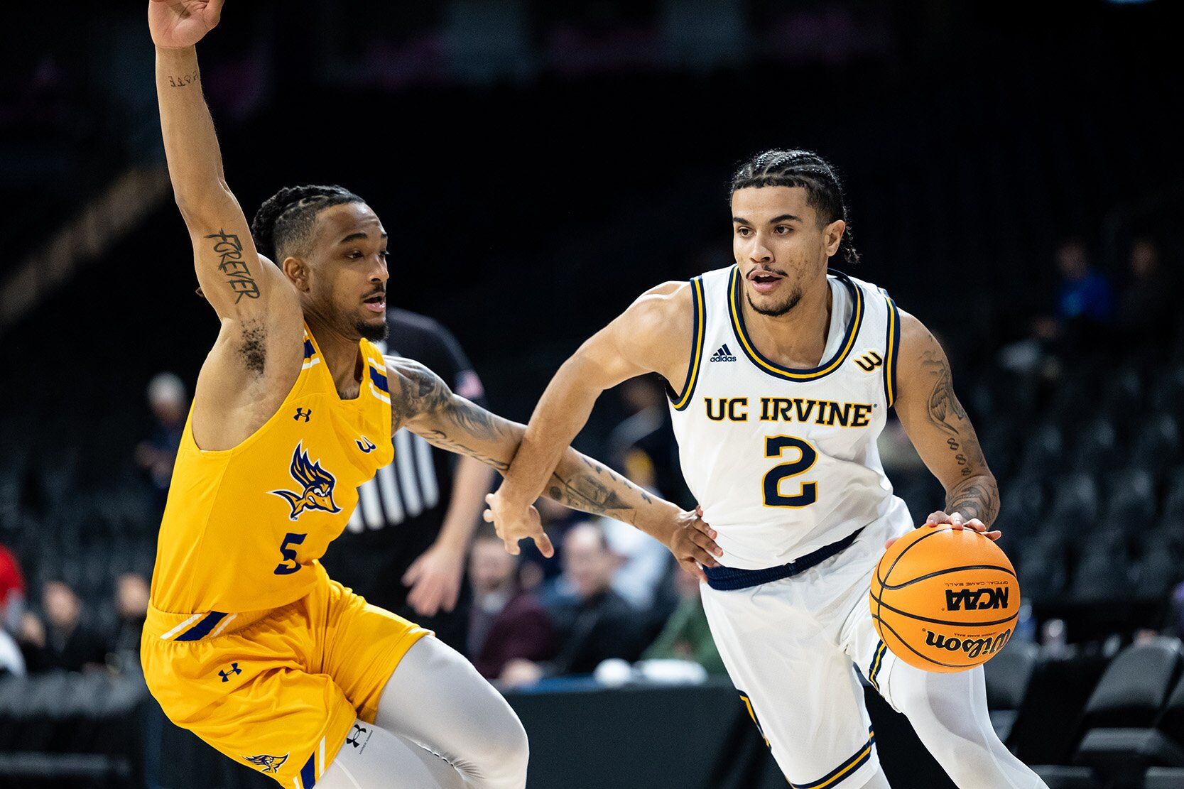 Uc irvine men's basketball hot sale roster