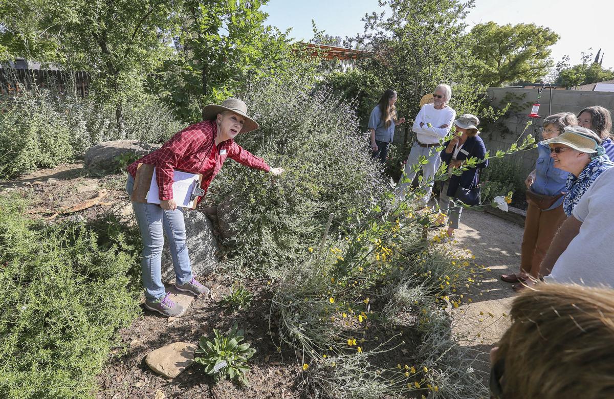 New show highlights droughttolerant native gardens News