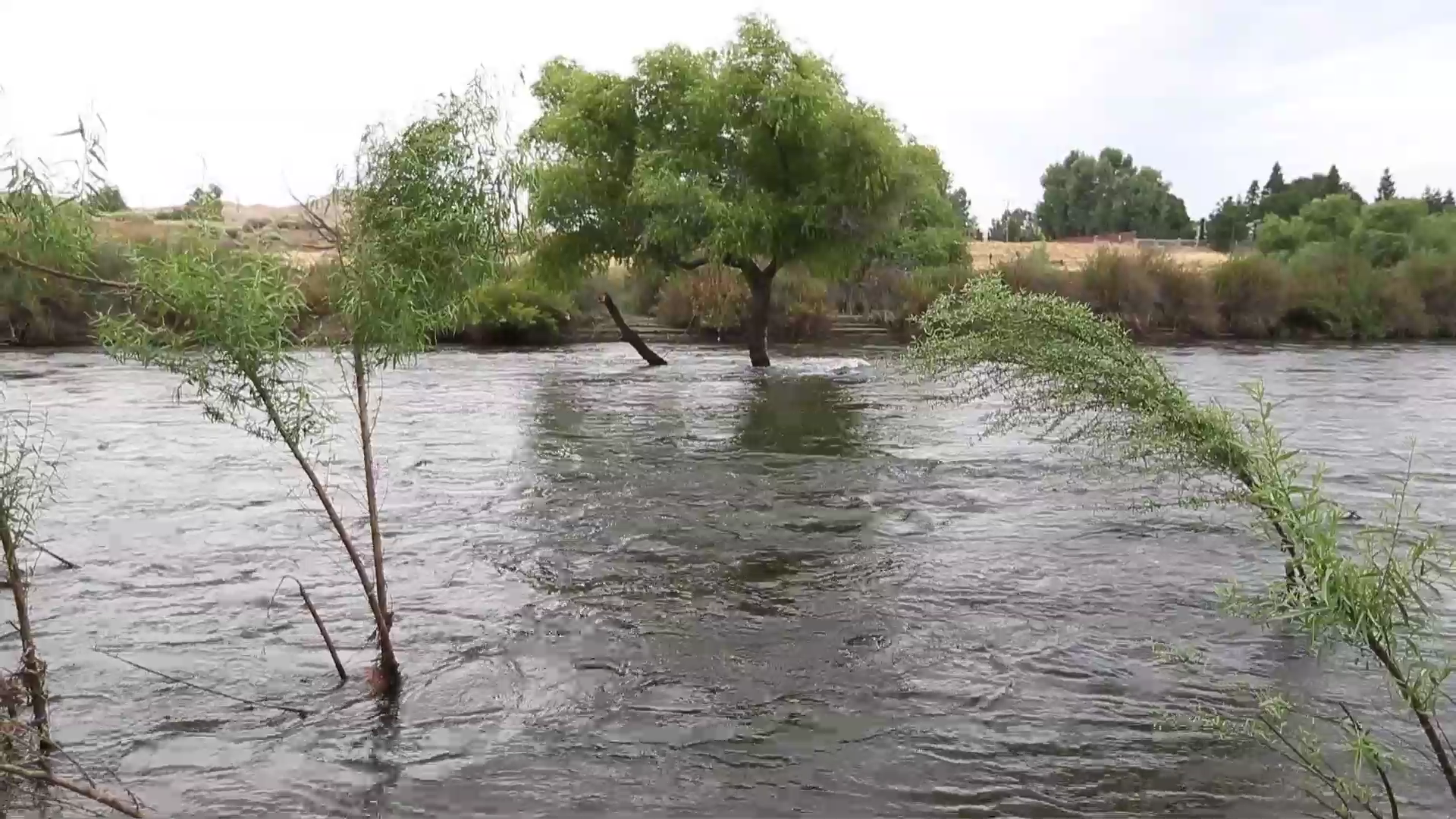 VIDEO: Hart Park and Kern River