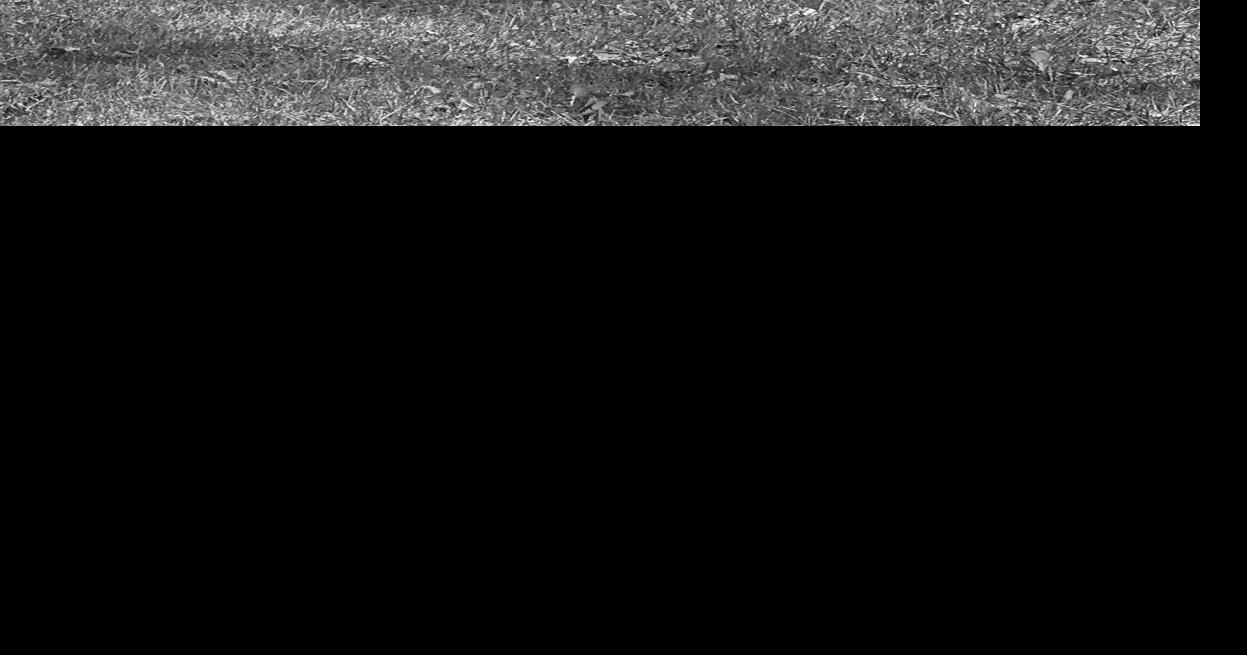 BaldwinWoodville High School Graduation Plans 2020 News baldwin