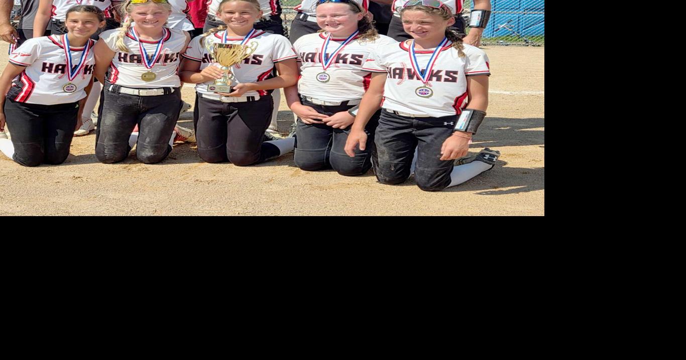 BW Hawks Softball team finishes third in state tournament | Sports ...