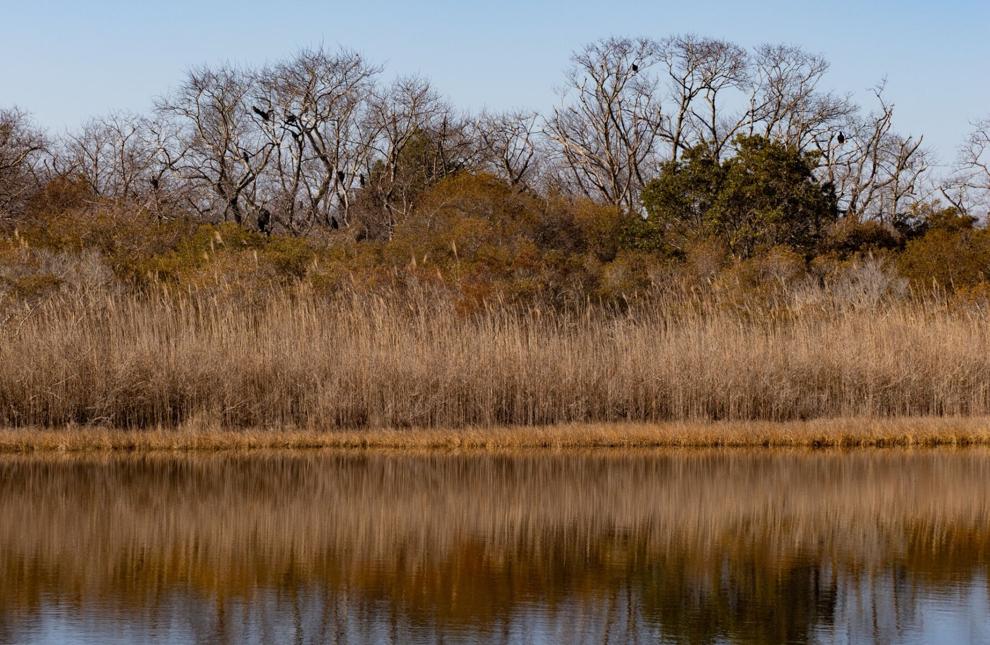 A unique Chesapeake Bay island that’s by permission only