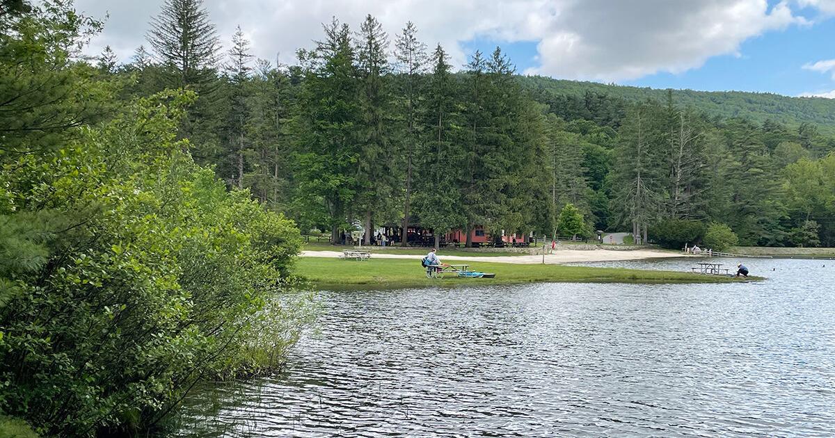 From forest to furnace and back again: Pennsylvania’s Greenwood state park