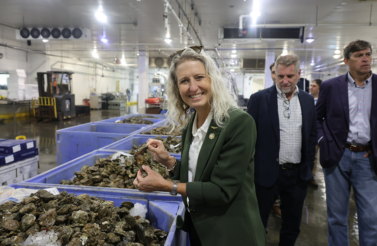 ‘Unusual’ mahogany tide wipes out $16M of oysters along Virginia’s ...