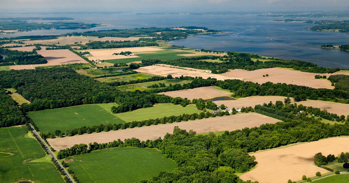 Farms need support now, for their own sake and for the Chesapeake Bay