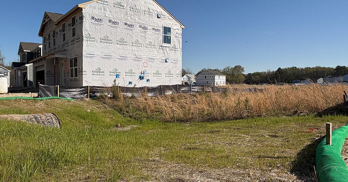 Amid federal rollbacks, Delaware may step in to help save wetlands