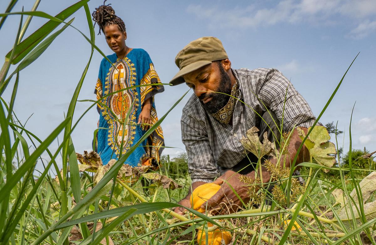 Farmers Farmers