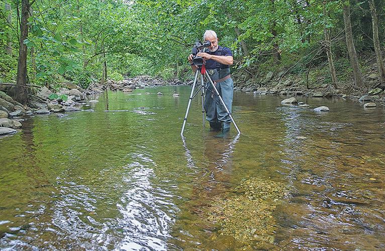 Virginia researcher wants to turn nestbuilding fish into rock stars