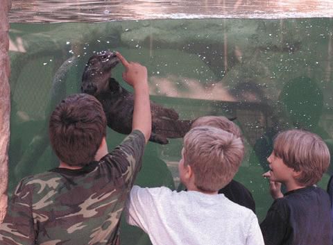 Virginia Living Museum&rsquo;s visitors find themselves surrounded by 