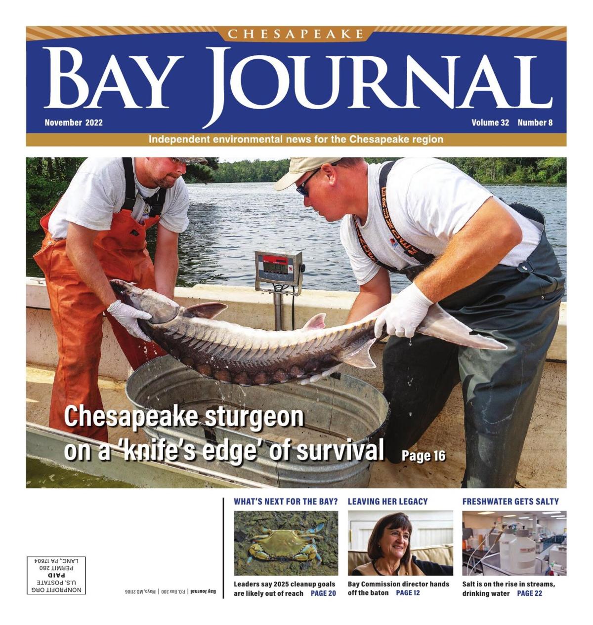 Bay Journal 2022 November