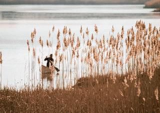Lose yourself in Marshy Point&rsquo;s beauty, but first you have to find 