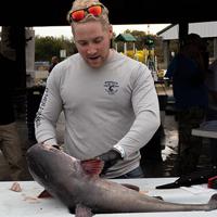 Blue catfish stomachs reveal the environmental toll of their appetite  Fisheries