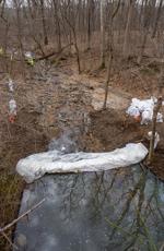 Potomac sewage spill contaminated soil
