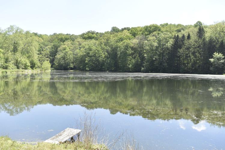 Wild abundance awaits at new Glenroy Nature Preserve Travel