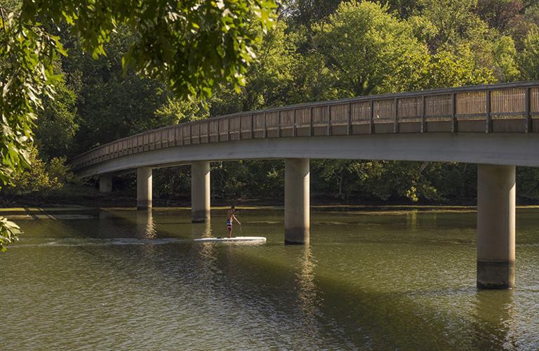 Theodore Roosevelt Island, a forested DC memorial hidden in plain sight