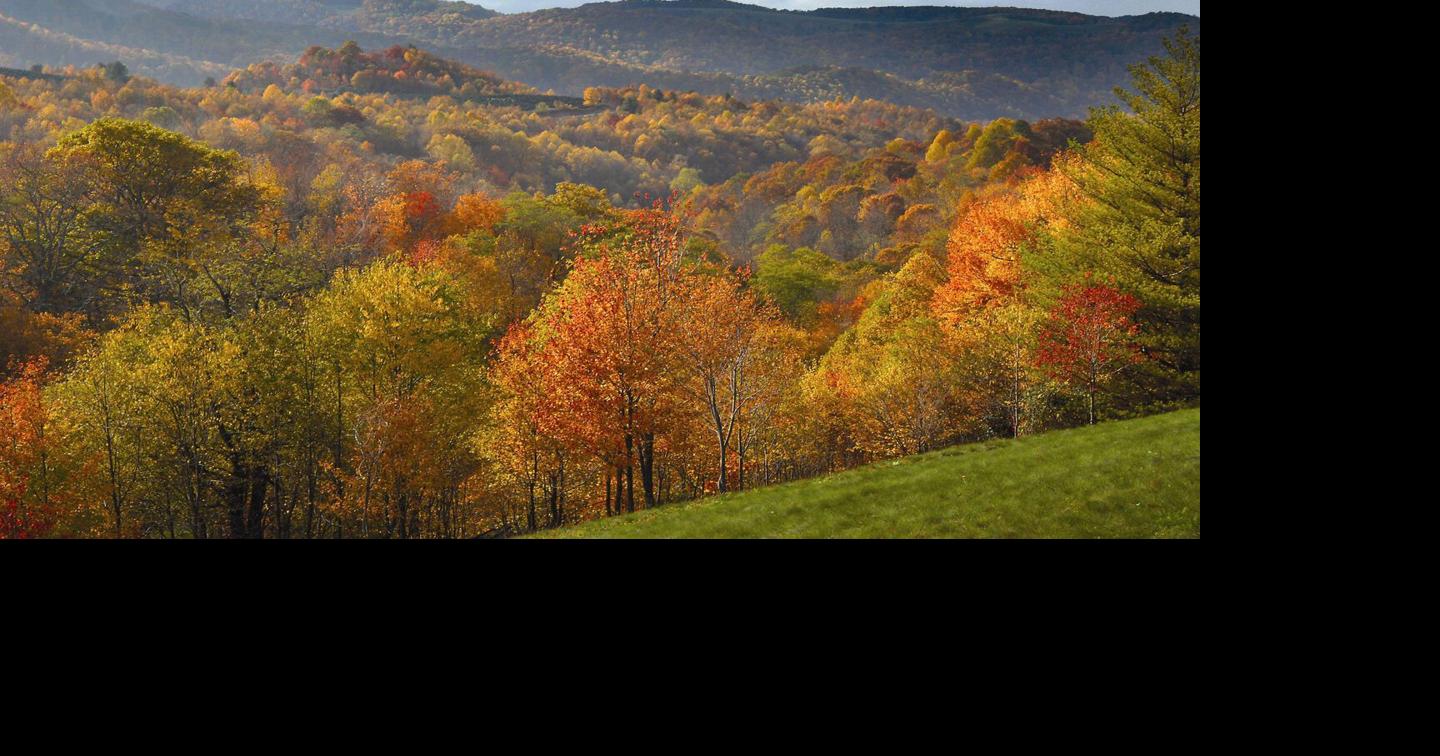 USDA rule repeal could lead to logging in Pennsylvania, Virginia forests