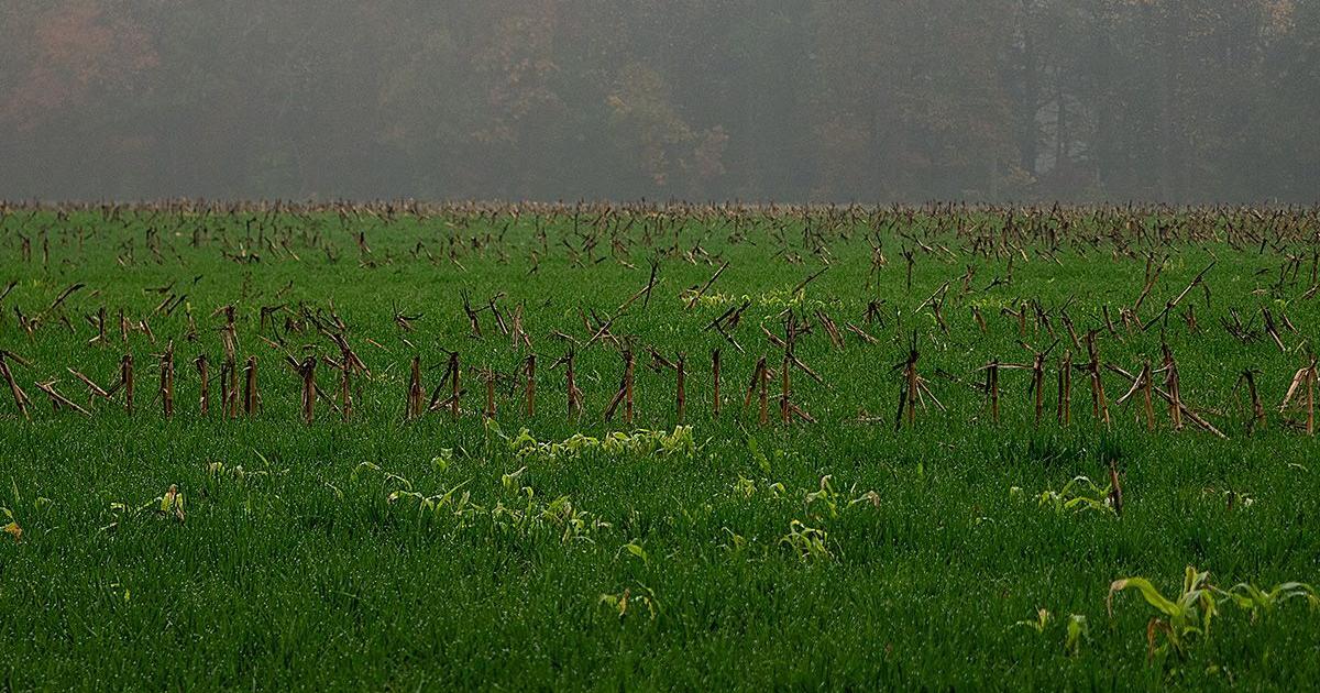 Project examines what ‘thriving ag’ could look like in future