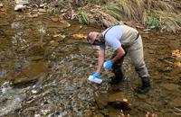 Water sampling for eDNA in NY