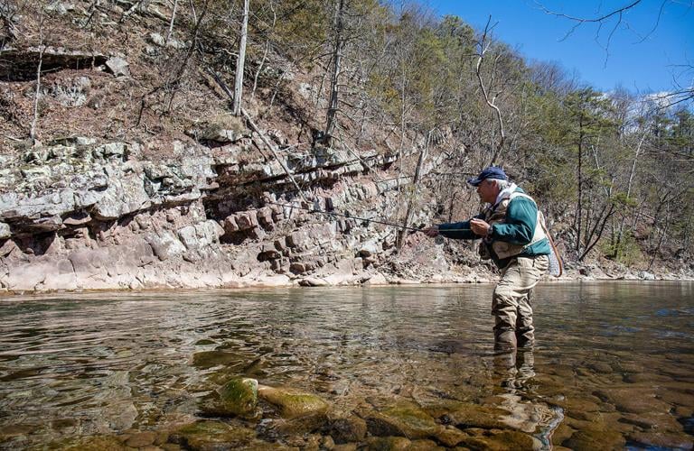 A healthy brook trout population equals a healthy stream