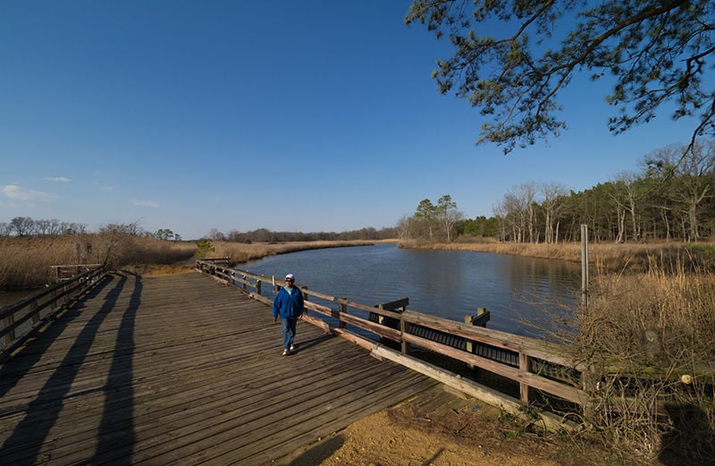 Experience Harriet Tubman S Eastern Shore Travel Bayjournal Com