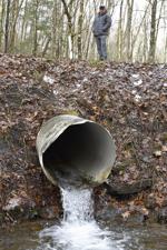 Culvert blocking fish passage