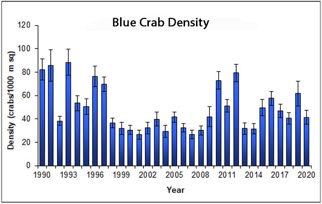 Chesapeake crab population shows resiliency just in time for
