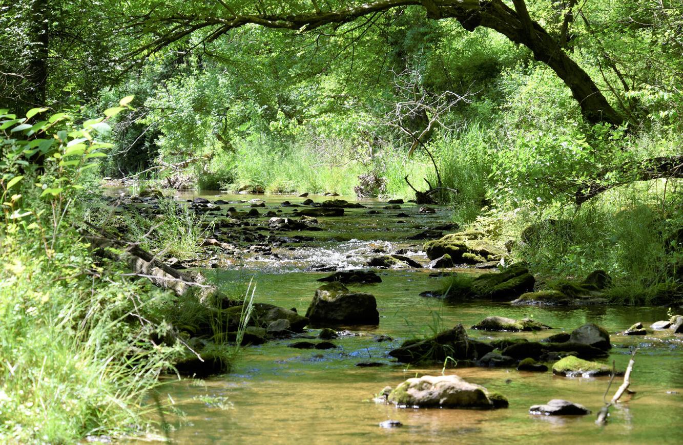 Wild abundance awaits at new Glenroy Nature Preserve Travel