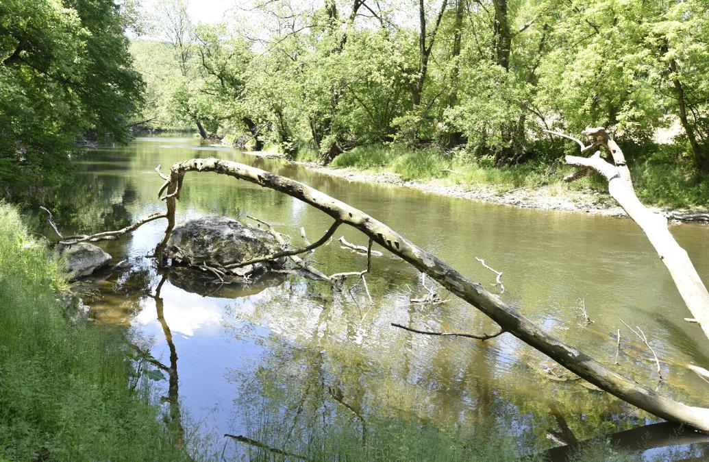 Wild abundance awaits at new Glenroy Nature Preserve Travel
