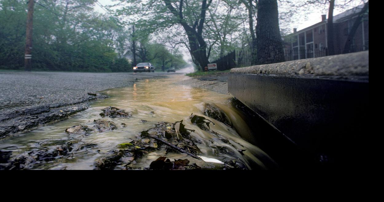 Help for local governments doing Bay-related work is spread unevenly, report finds