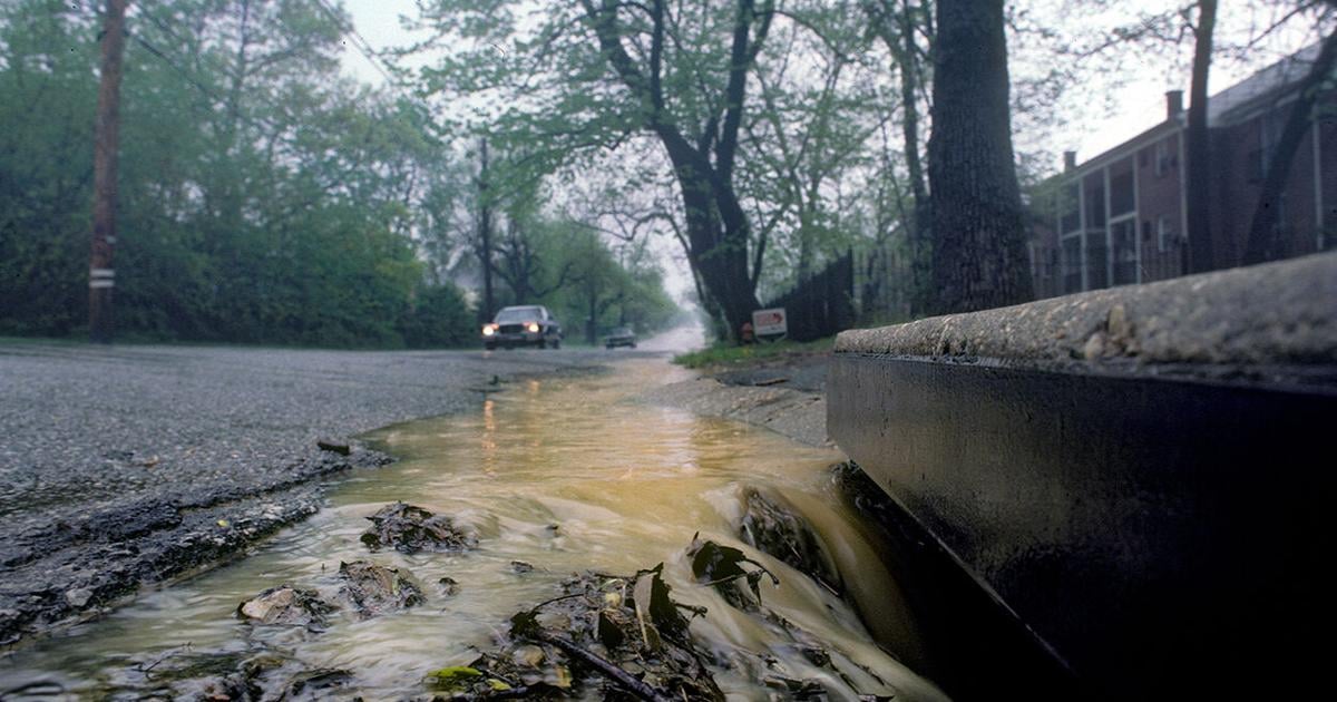 Help for local governments doing Bay-related work is spread unevenly, report finds
