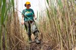 Stephanie Stotts, UMES, in marsh