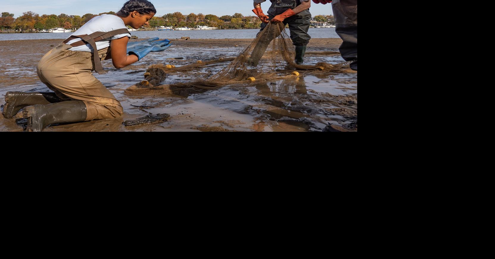 Plan to clean up toxic hot spots in DC’s Anacostia River faces upstream ...