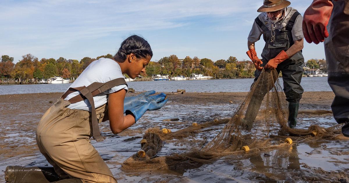 Plan to clean up toxic hot spots in DC’s Anacostia River faces upstream ...