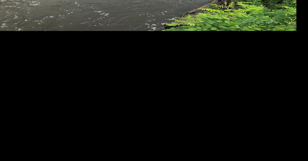 Paddle Appomattox River’s past, witness the progress Travel